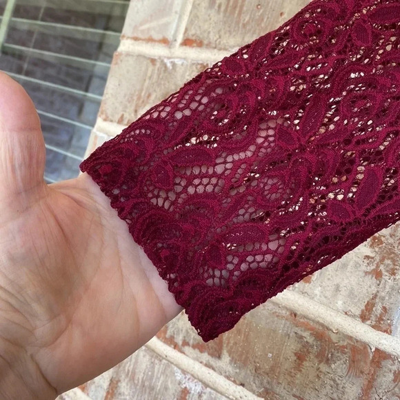 Fishbowl Berry Lace Fit And Flair Dress - Picture 4 of 10